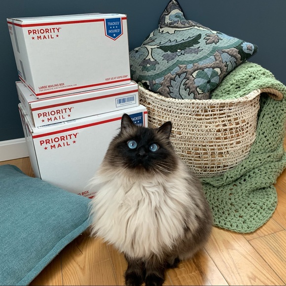 Oh, Hey There! ππΌ - Picture 9 of 10